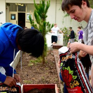 Students gardening