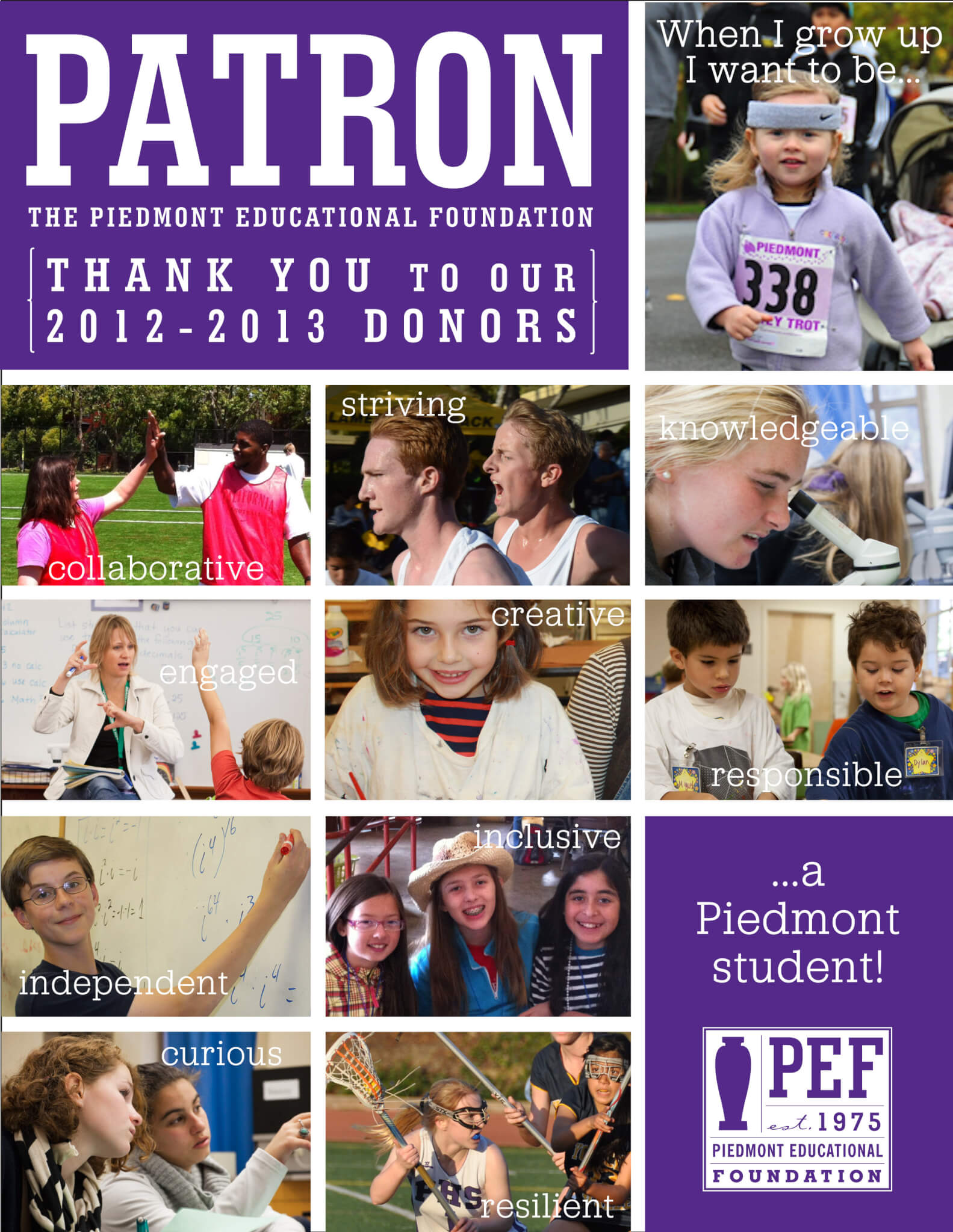 2013 Patron cover