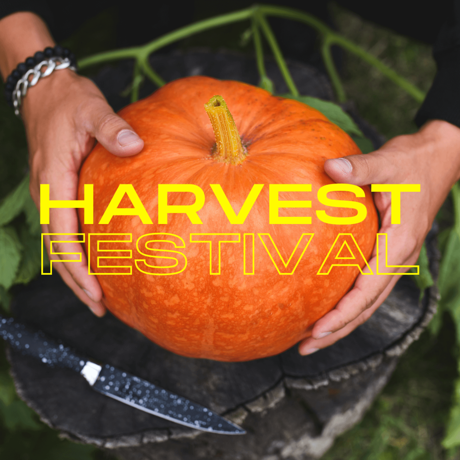 Dominate Coral Island'S Harvest Festival: Expert Tips & Tricks - 25rip9i