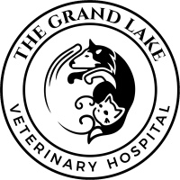 the-grand-lake-veterinary-hospital